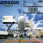 Door To Door FBA Air Freight for sale