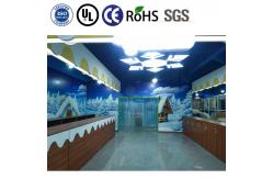 China 100-Passenger Ice Theme Indoor Playground for Kids - Customizable Naughty Castle supplier