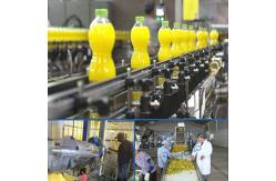China 5 - 50T/H Fresh Mango Pulp Plant Automatic Separation Juice Processing supplier