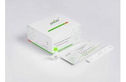 China 2019 NCoV IgM IgG Rapid Test Antigen Rapid Test Kit Colloidal Gold supplier
