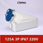 125A IP67 220V 3P IEC Standard Industrial Wall Mounted Socket Waterproof for sale