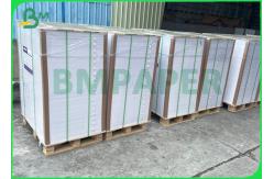 China 210g 240g White Food Tray Paper Material With PE Coating Bright White supplier