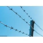 Use Of Prison Walls Anti Climb Single Strand PVC Coated Iron Barbed Wire for sale