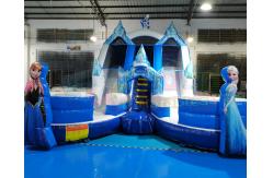 China Frozen Double Jumping Bouncer Inflatable Water Slide With Pool supplier