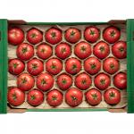 Round Fruits Cavity Moulded Paper  Packaging Tray Liner for Apple Orange Avocado for sale