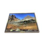 30 pins 94PPI NL160120AC27-32B LCD display screen for sale