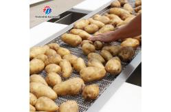 China Year 2025 Silver Fruit And Vegetable Packaging Machine with Advanced Technology supplier