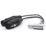 Atomos Lemo 10 Pin To XLR 3 Pin Female Connector Breakout Audio Input Cable For Shogun Monitor Recorder for sale