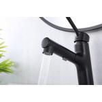 T&F Polished Bathroom Faucet With Pull Down Sprayer Surface Mounted