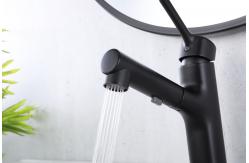 China T&F Polished Bathroom Faucet With Pull Down Sprayer Surface Mounted supplier
