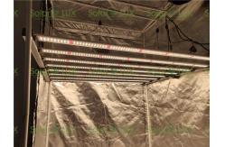 China Horticulture Fluence Spydr 2p 650W LED Grow Light Bar supplier