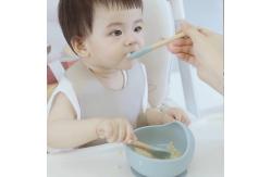 China Heatproof Sturdy Silicone Dinnerware Set Suction Bowl With Spoon supplier