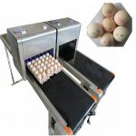 Large Characters Egg Batch Coding Machine With USB External Database Printing