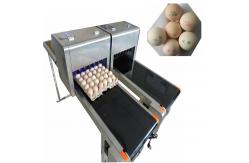 China Large Characters Egg Batch Coding Machine With USB External Database Printing supplier