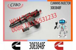 China Hot Sale Diesel Fuel Injector 3411759 3083848F For Cummins N14 Engine supplier