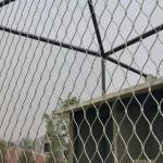 Ss 316 Bridge Architectural Wire Mesh , Wire Rope Mesh Net for sale