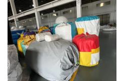 China Inflatable Water Slides manufacturer