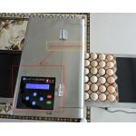 Reliable Performance Multifunctional Egg Marking Equipment , Eggs Inkjet Printer Industry for sale