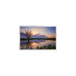 AUO 1.8 inch LCD Panel DISPLAY A018AN01 V1 LCD screen for Digital Camera for sale