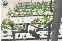 China Hydroponics Greenhouse PP Roll Grow Troughs Vegetables Substrate Growing Trough supplier