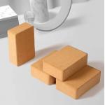 Eco-Friendly Natural Non-Slip Wholesale Cork Yoga Blocks for sale
