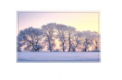 China Ceiling Suspended Double Sided Lcd Display , Android System Ultra Slim Lcd Screen supplier