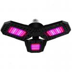 Grow Light Indoor and Outdoor Full Spectrum Plant Light Transformable red blue color for Plant seedlings for sale