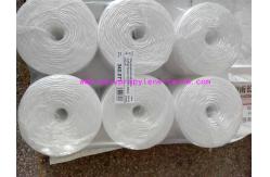 China Raw White Polypropylene Twine Packing Rope Lt021 Diameter 1mm - 6mm supplier