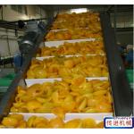                  High Speed Finished Product Belt Conveyor for Packing Belt Conveyor Line              for sale