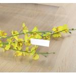 No Pungent Odor Biodegradable Transparent TPU Fabric