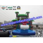 Bounce House Charming Inflatable Slide , Kids Inflatable Water Slides Pool