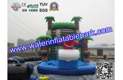 China Bounce House Charming Inflatable Slide , Kids Inflatable Water Slides Pool supplier