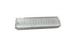 China Battery Operated Self Testing IP65 Waterproof Emergency Light Recahrgeable (EL030AN) supplier