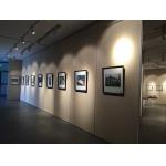 Wooden Sound Proof Partition Wall For Art Gallery / Functional Hall