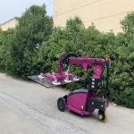Powerful 380V/220V Glass Vacuum Lifter With 800Kg Max Load And Customized Colors for sale