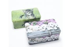 China CMYK EN71 Rectangle Biscuit Tin Box With Logo Printed supplier