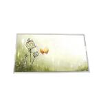 AUO Vertical Stripe 15.6 Inch LCD Pane B156HW01 V1 40PINS for sale