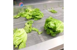 China Stainless Steel Vegetable Processing Machine Vibration Draining Machine supplier
