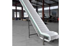 China                  Palletizing Roller Conveyor for Carton and Bag, with Pallet Magazine              supplier