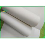 300GSM Bleached Cardboard Paper Roll / C1S Coated Paper For High End Packaging