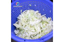 China Automatic Commercial Drum Vegetable Dehydrator Spinach Drying Machine supplier