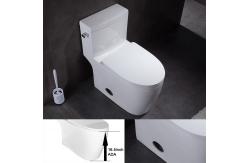 China High Efficiency White One Piece Tall Elongated Toilets Bowl MAP800G supplier
