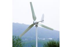 China Home Use Wind Power System Spiral With Wind Solar Hybrid Controller supplier