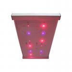 Quantum 2x2 LED Grow Light for sale