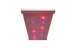 China Quantum 2x2 LED Grow Light supplier