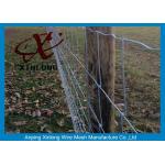 Commercial Galvanized Field Fence For Live Stock Easy Maintenance  for sale