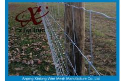 China Commercial Galvanized Field Fence For Live Stock Easy Maintenance  supplier