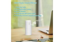 China HOMEFISH 130ml Wall Plug Essential Oil Diffuser OEM ODM supplier
