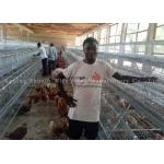 Poultry Farming A Type Battery Q235 Layer Chicken Cage Ce Certificate for sale