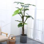 175cm Height Artificial Tropical Tree Green Foliage Plant Monstera For Home Decor for sale